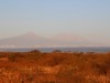 IMG_6425
