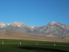 IMG_8601
