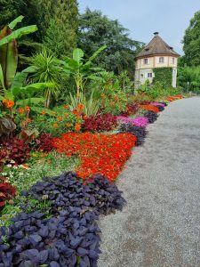 Mainau Island Flowers