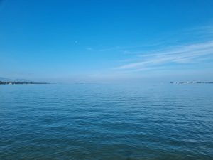 Lake Views