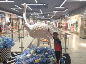 Lago Shopping Center