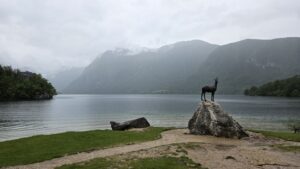 Rain at lake